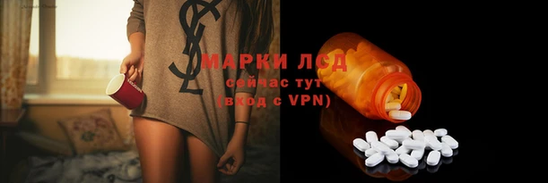 кокс Алексин