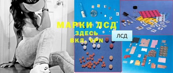 сатива Алексеевка