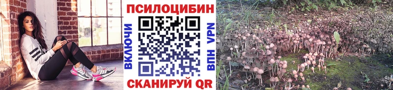 Галлюциногенные грибы прущие грибы  цена   Пустошка 